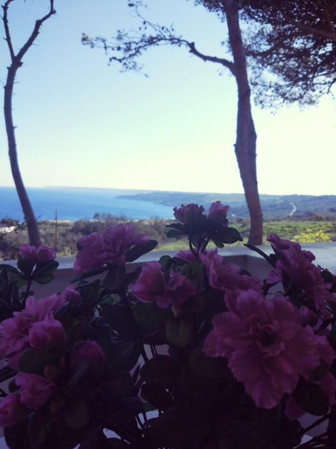 Villa Alda - Bilocali Vista Mare Santa Cesarea Terme Buitenkant foto